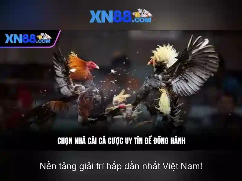 xn88: Khám phá nền tảng trò chơi trực tuyến