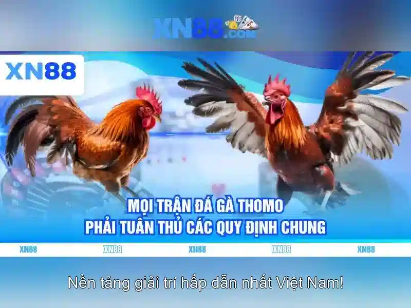 Điểm nổi bật của xn88