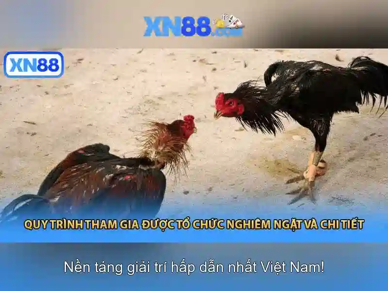 Giới thiệu về xn88\n\n