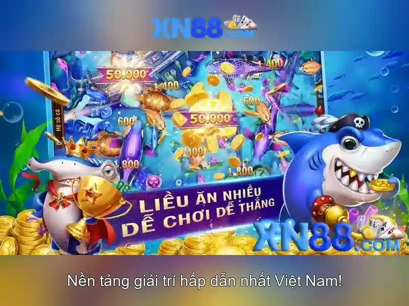 Các hoạt động chủ chốt tại xn88\n\n