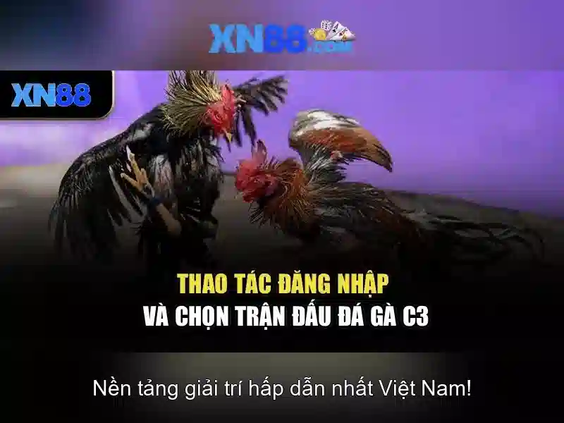 Tại sao xn88 nổi bật