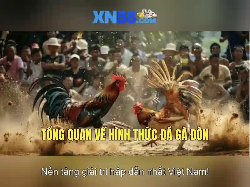 Lịch sử và uy tín