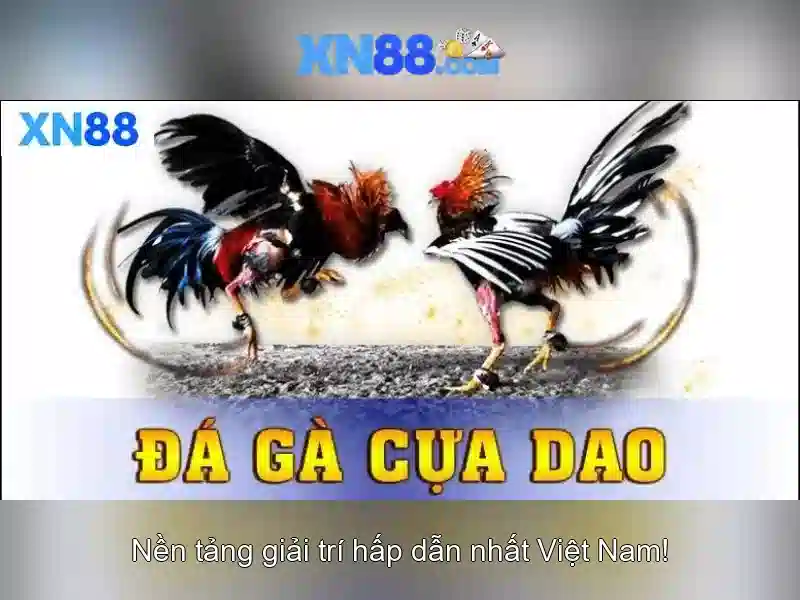 xn88 là gì và vai trò của nó trong cộng đồng trực tuyến