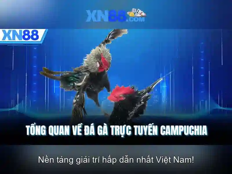 Giới thiệu về xn88\n