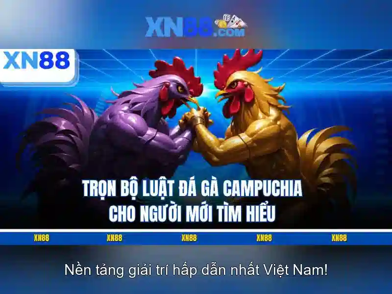 xn88 - Cổng cá cược trực tuyến và đánh giá chi tiết