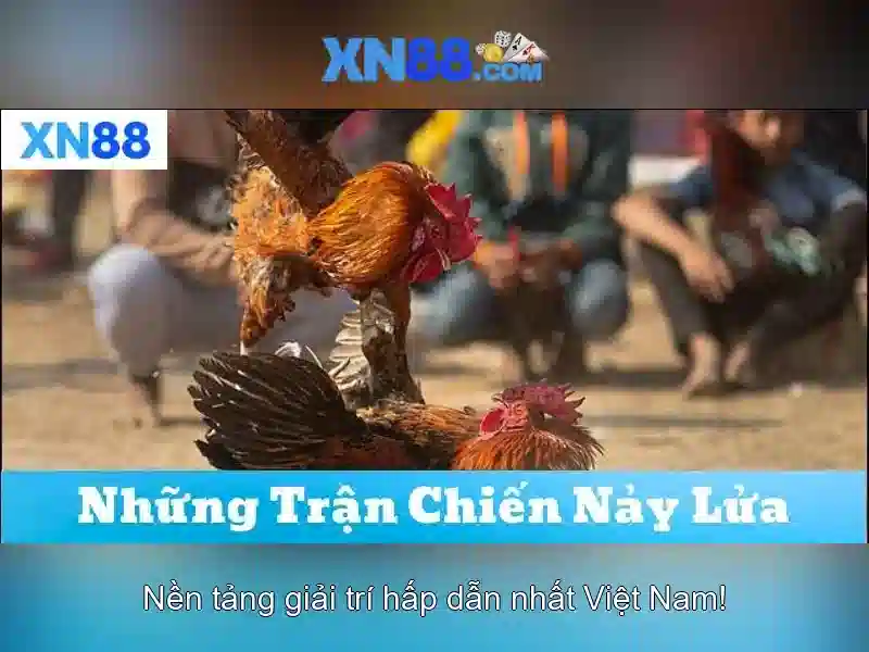 Các trò chơi và dịch vụ\n\n