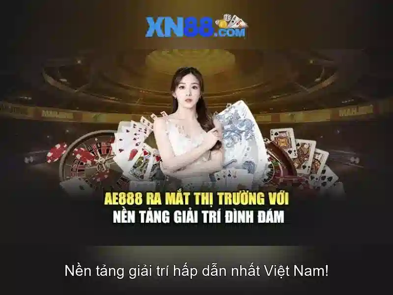 Hỗ trợ khách hàng và phản hồi