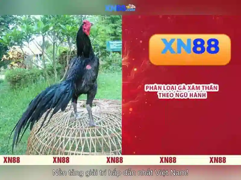 nhà cái xn88 – Tóm lược chủ đề và giá trị cốt lõi