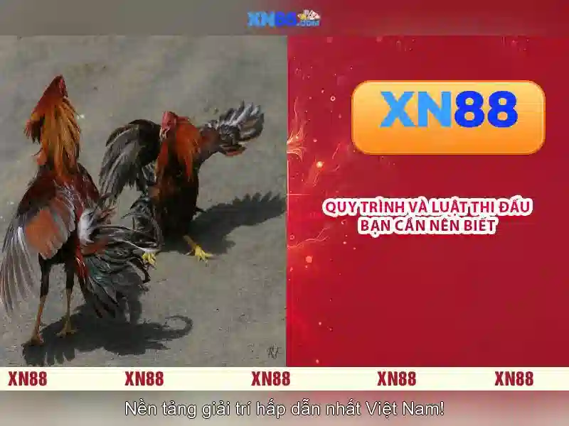 Trải nghiệm người dùng chất lượng