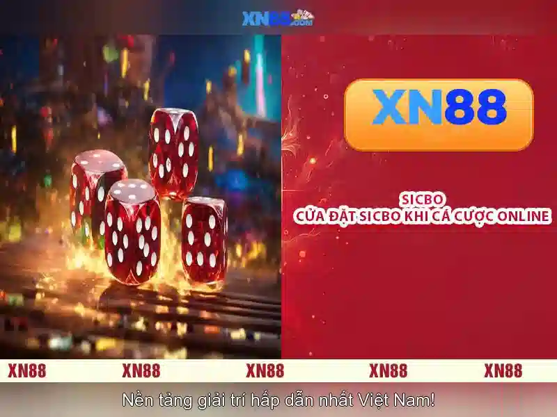 Tính năng nổi bật