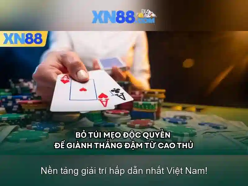 Lịch sử và nguồn gốc xn88