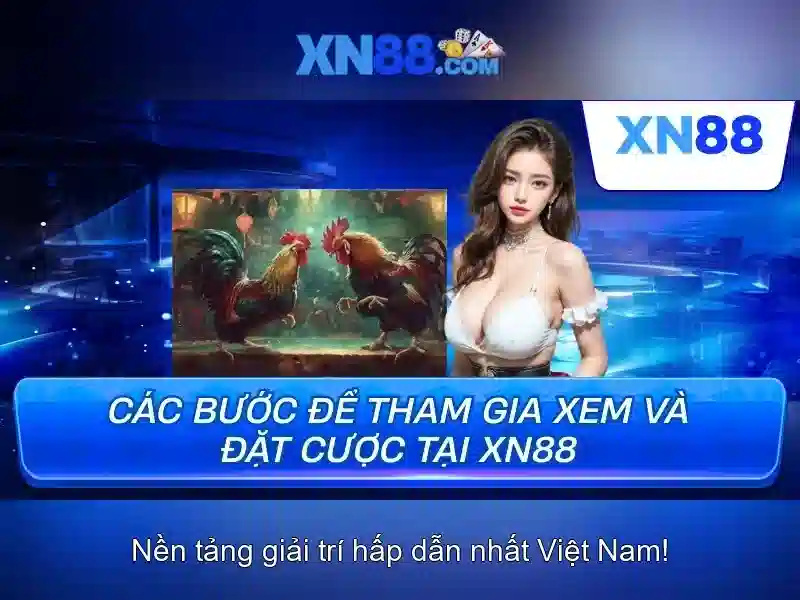 Khuyến mãi và thưởng