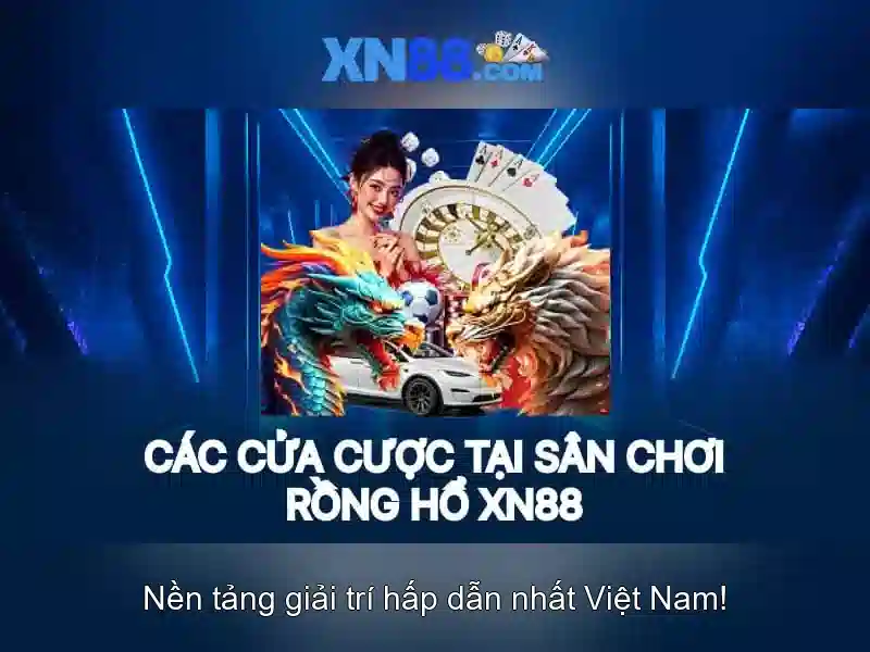Xn88: Giới thiệu tổng quan về nền tảng giải trí trực tuyến