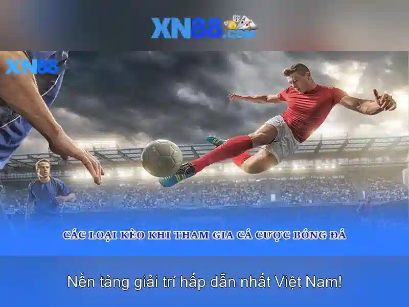 Lý do xn88 nổi bật trên thị trường